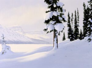Ted Raftery: WATERFOWL LAKE