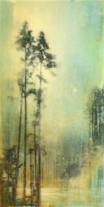 Steven Nederveen: SUN THROUGH THE TREES