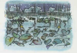 Ted Godwin: WILD RICE, LILY PADS AND SUMMER BREEZE #13