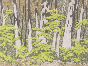 Alfred Joseph Casson: FOREST EDGE