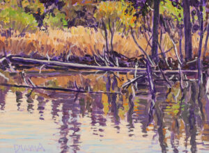 William (Bill) Duma: REFLECTIONS