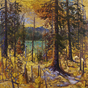 Rod Charlesworth: EVENING VEIL – PILLAR LK.