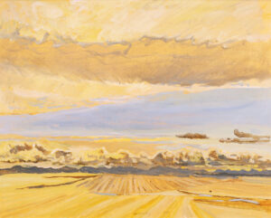 Robert F. M. McInnis: DRY FIELDS