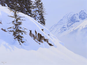 Ted Raftery: BREAK IN THE TREES (ABOVE THE FOG)