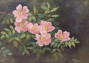 Annora Brown: ALBERTA WILD ROSES