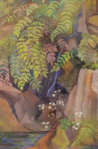 Annora Brown: FERN AND SAXIFRAGE