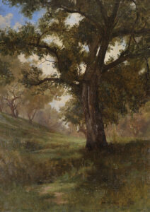 Gutzon Borglum: CALIFORNIA OAK TREES
