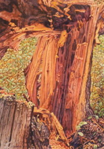 Ernest Lindner: BC ROOTS