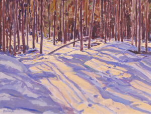 BRAGG CREEK (SKI TRAIL)