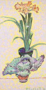 Joseph Francis Plaskett: CLIVIA AND CABBAGE
