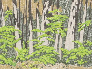 Alfred Joseph Casson: FOREST EDGE