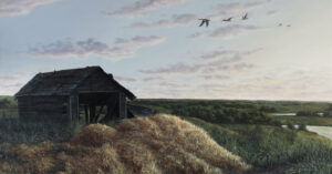 Edwin Tuts: GEESE IN FLIGHT OVER FARMLAND