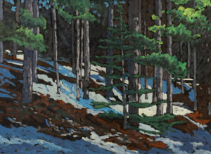 Neil Patterson: SPRING HILLSIDE