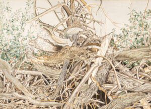 Ted Godwin: HEART OF BELANGER