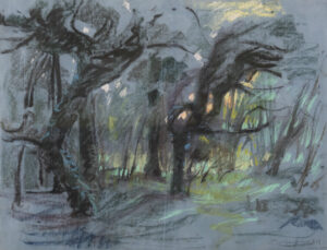 Joseph Francis Plaskett: THE FOREST EVENING