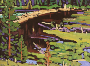 Illingworth Holey (Buck) Kerr: BEAVER DAM, UPPER HIGHWOOD
