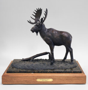 Rick Taylor: WANDERING BULL