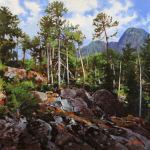 Graeme Shaw: VIEW ALONG THE KENNEDY RIVER