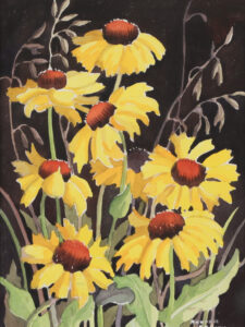 Annora Brown: BLACK EYED SUSANS