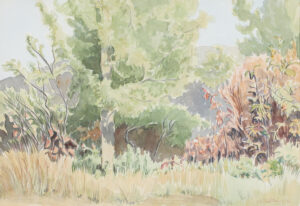 Margaret Dorothy Shelton: AUTUMN COLOURS
